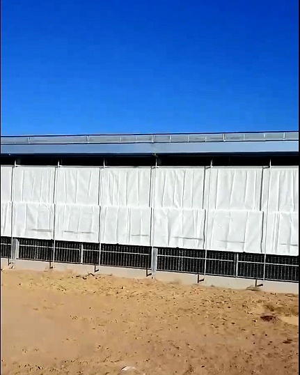 花样视频app下载卷帘